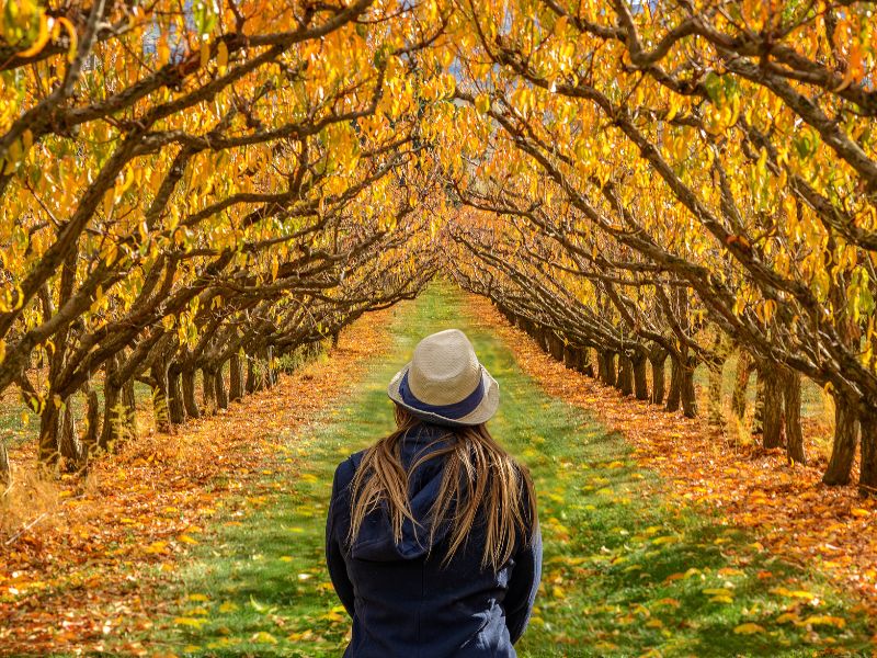 Fall hair care for healthy, hydrated hair